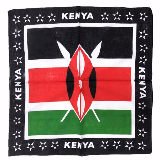 Wholesale Multifunctional 21*21 Inch Custom Printed Paisley Square Polyester Cotton Bandana