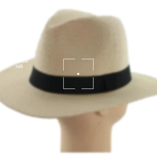 Lady Wholesale Custom Sun Beach Outdoor Wide Brim Ribbon Straw Hat